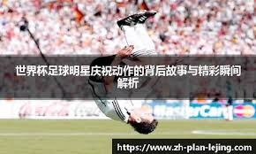 棒球与风险投资球队作为一种优质资产