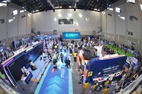 引发众怒，电讯报：摩洛哥为承办国际赛事大规模捕杀流浪狗