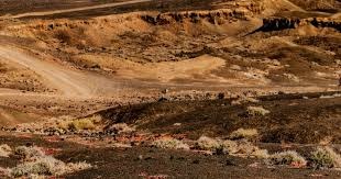 程帅澎：小目标是希望浙江队夺冠，大目标是男篮进军28年奥运会